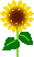 Ђ܂
